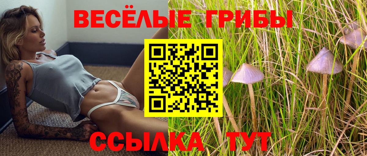 Псилоцибиновые грибы Cubensis Серов